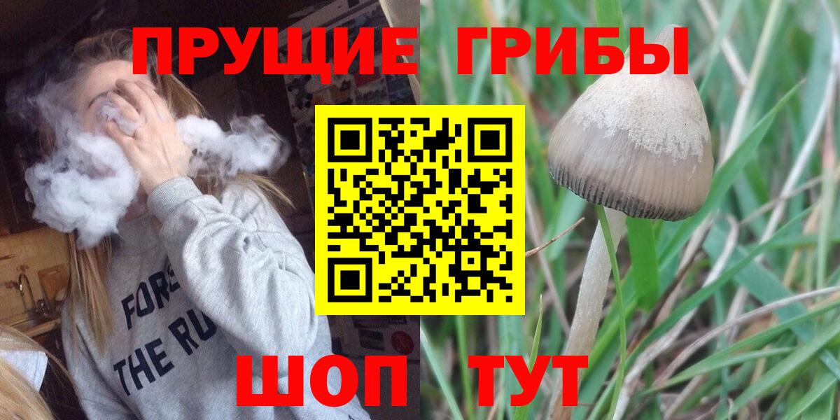 Псилоцибиновые грибы ЛСД  Галлюциногенные грибы мухоморы  Туймазы  Вход с VPN 