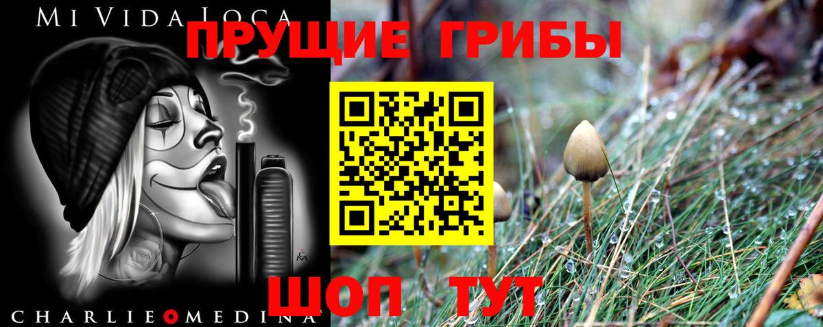 Галлюциногенные грибы MAGIC MUSHROOMS Туймазы
